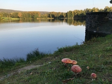 Chata s bazénem Seč - Kraskov - Železné hory
