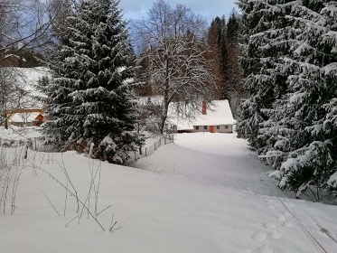 Chalupa s baz�nem - Letn� str�� - Kralick� Sn�n�k