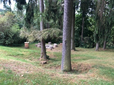 Srubov� chata se saunou - CHKO Slavkovsk� les