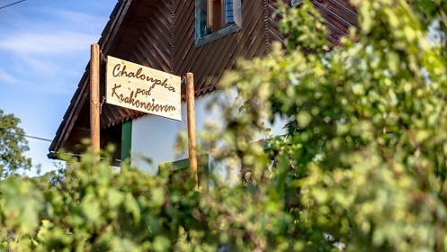 Chalupa pro dti - sauna a koupac sud - hrad Pecka