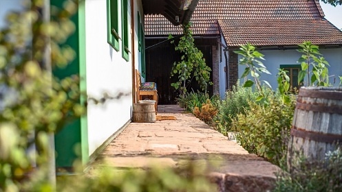 Wellness chalupa Pecka - Český ráj a Podkrkonoší