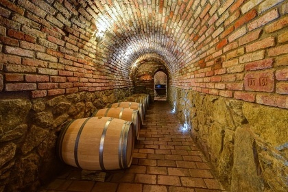 Penzion bazén a vinný sklep - Podyjí - Znojmo