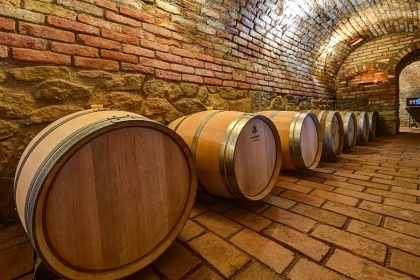 Penzion bazén a vinný sklep - Podyjí - Znojmo