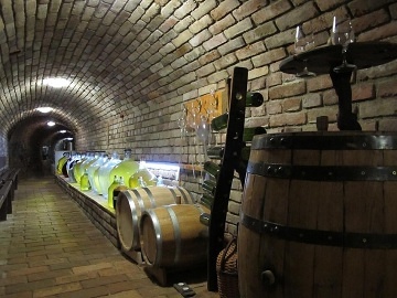 Penzion bazén a vinný sklep - Podyjí - Znojmo