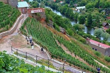 Penzion 17 - Znojmo - Vinohrady - Dyje