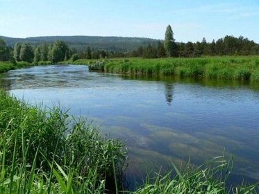 Chalupa Šumava - apartmány České Žleby - Lenora