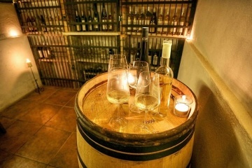 Ubytování VITIS - vinný sklep Valtice - Lednice
