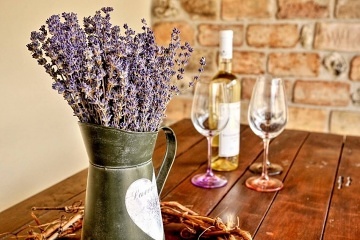 Chalupa a Vinn sklep - Lednicko-valtick arel