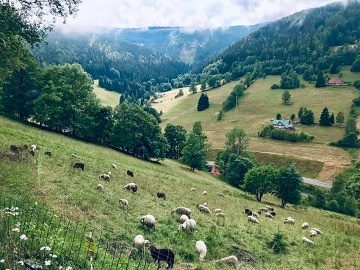 Roubenka Gábinka - Pec p. Sněžkou - Velká Úpa