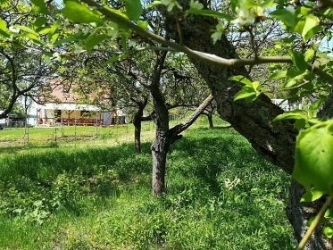 Dovolenkový dom Rybka - Kamenica n. Hronom