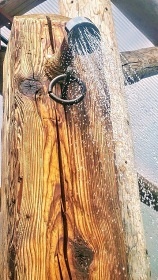 Chata ky - Moravsk kras - Drahansk vrchovina