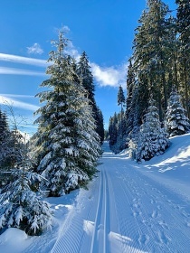 Chalupa Krkonoe - Portky - Hern krajina Pecka