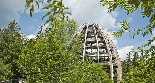 Chalupa Boubnsk prales - Lenora - umava