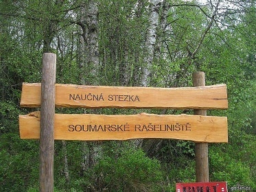 Chalupa Boubnsk prales - Lenora - umava