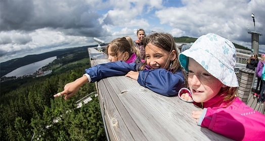 Chalupa Na Soumarském Mostě_Volary_Šumava