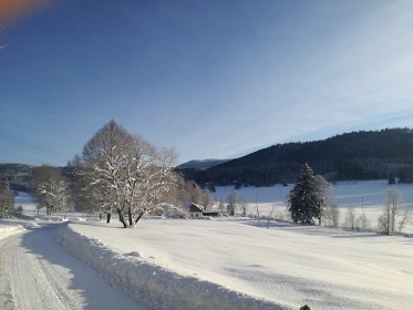 Chalupa Boubnsk jezrko - umavsk lesy