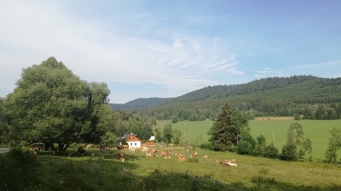 Chalupa Boubnsk jezrko - umavsk lesy