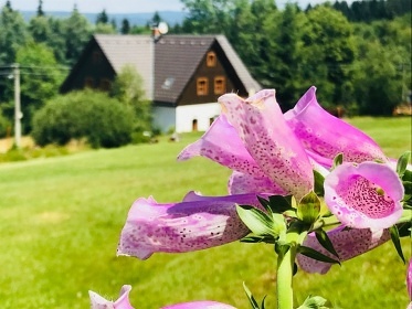 Chalupa a v��ivka - klid a v�hled na Jizersk� hory