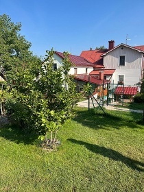 Apartmán U Marušky - dům Nový Dvůr - Zdíkov