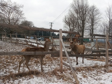 Roubenka na Vyhlídce - Markov - Prachatice