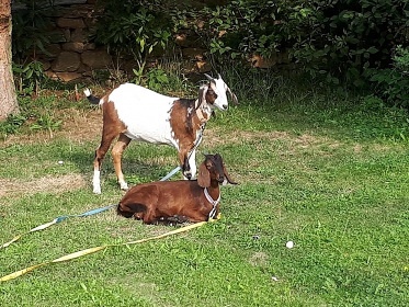 Chalupa Toulava - Jiho�esk� dv�r - P�secko