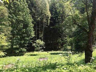 Chaloupka ve Skalanech - Vyskeř - Český ráj