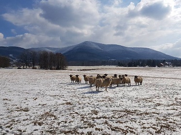 Chata 1 - Beskydy - Radhošť - Trojanovice