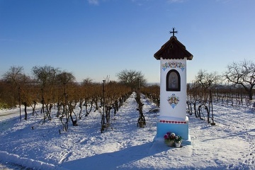 Vinný sklep Prušánky - Nechory - Jan Římský