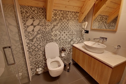 Roubenka s wellness - Černý Důl - Krkonoše