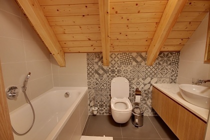 Roubenka s wellness - Černý Důl - Krkonoše