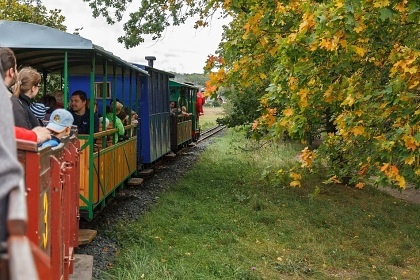 Vila Imagina - ubytovn Ratbo - Kutn Hora