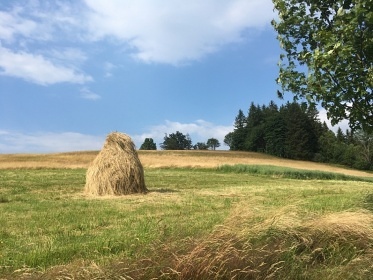 Chata Pohodička - Beskydy - Velké Karlovice