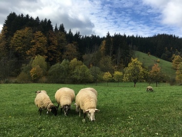 Chata s v�hledem Vala�sko - cyklostezka Be�va