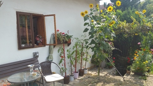 Chalupa Podorlicko - Podkostel� a �vamberk