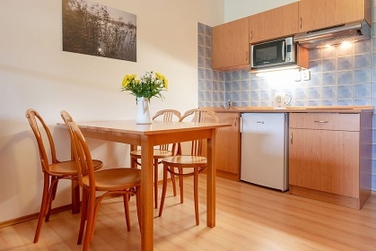 Penzion baz�n a wellness - Kru�nohorsk� magistr�la