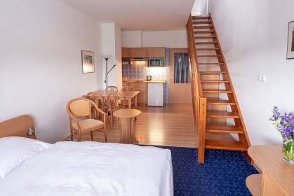 Penzion baz�n a wellness - Kru�nohorsk� magistr�la