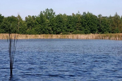 Statek Nové Dvory - vnitřní bazén - Vrbenské rybníky