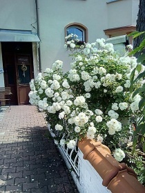 Penzion Villa Marion - Mariánské Lázně