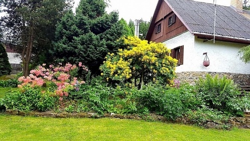 Chalupa s baz�nem - Park Mon�nec - Zoo V�trovy