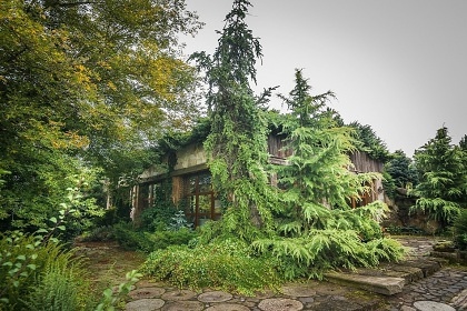 Luxusní srub - bazén a wellness - Český ráj