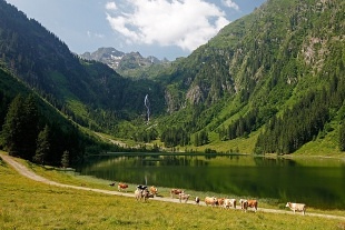 Apartmány Pruggern Rakousko - Dachstein