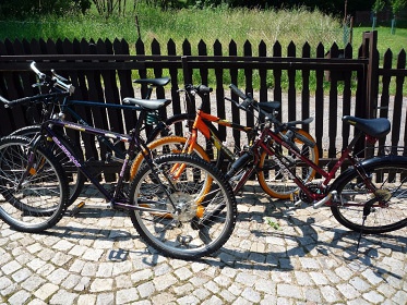 Srubov� chata s v��ivkou - Trutnovsko - Mlad� Buky