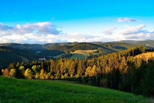 Chata se saunou - na Kn�ec� cest� - hora Radho��