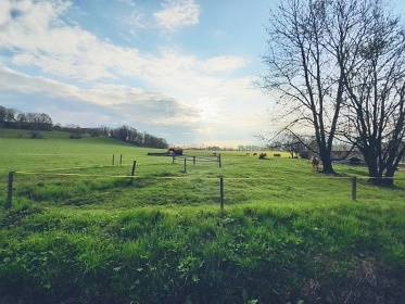 Chata Jeseníky - Karlova Studánka - Dětřichovice