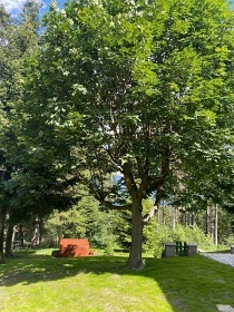 Chalupa s wellness Beskydy - Lysá hora - Pstruží