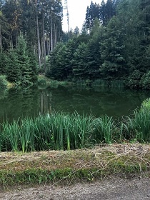 Glamping u Konopi�t� - T�nec nad S�zavou - Slapy