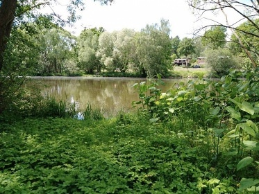 Chata u řeky Lužnice - Koloděje nad Lužnicí