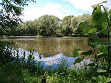 Chata u řeky Lužnice - Koloděje nad Lužnicí