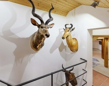 Chalupa Lodge - Varvažov - hrad Zvíkov
