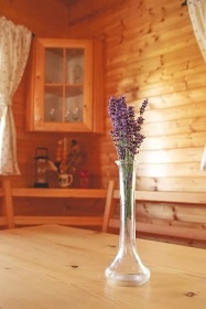 Chata Vyso�ina - ubytov�n� Bo�kovsk� rybn�ky